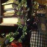 B&B A Casa Di Susi 카스텔누보델가다