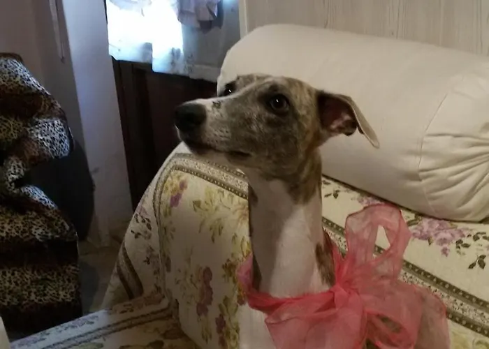 A Casa Di Susi 3*